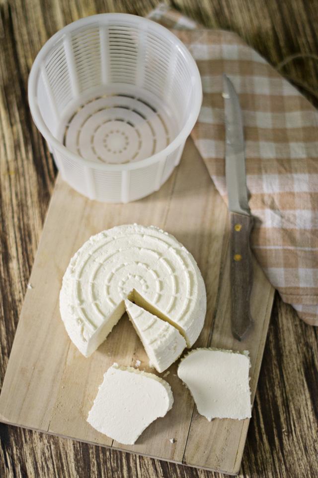 Queso fresco casero, tipo Burgos