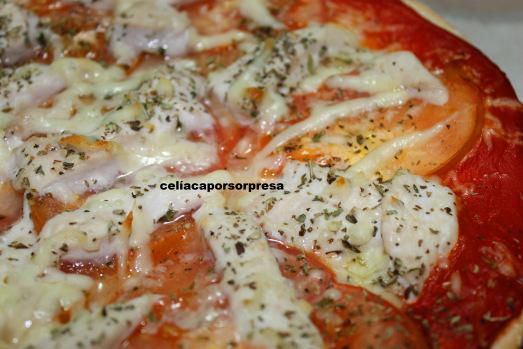 pizza pollo3