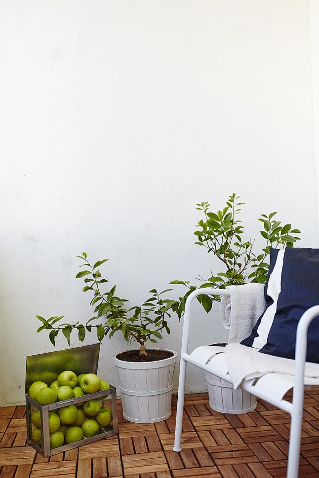 Inspiring homes Concrete color (11)