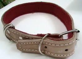 Collares para perros (3)