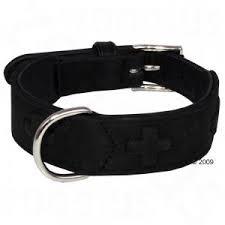 Collares para perros (1)