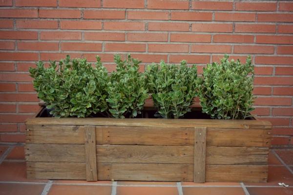 su Sacrificio Murmullo DIY: Jardineras con palets | Bricolaje