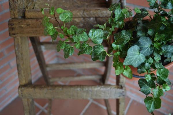 diy jardineras con palets