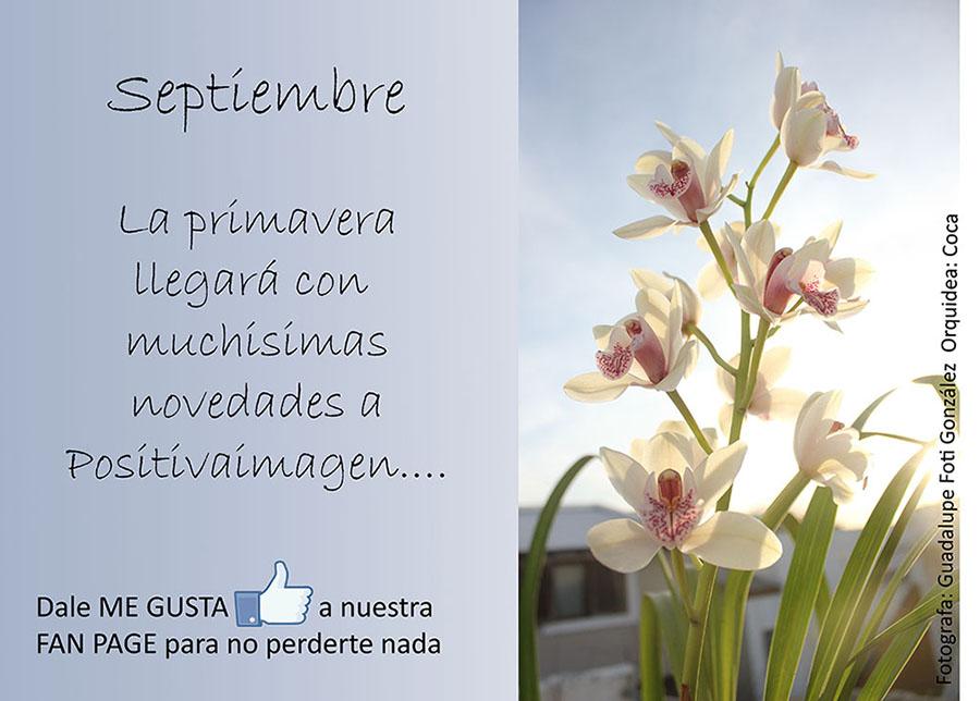 septiembre-novedades en Positivaimagen