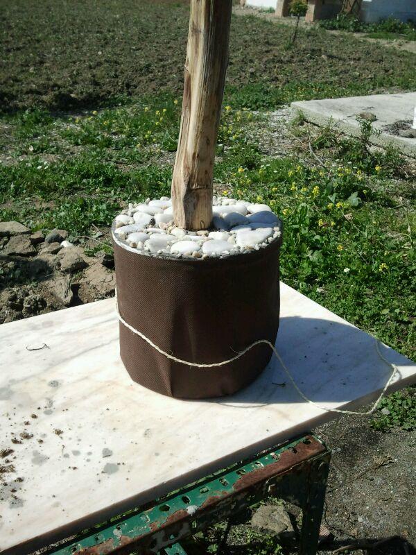 Colocamos la tela alrededor de la lata