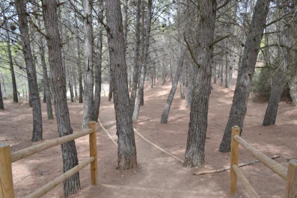 las caras de buendia