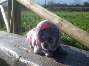 179860_1612378267394_4462678_n