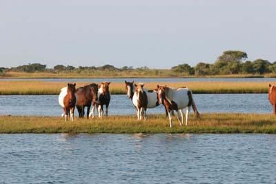 Fuente: Walkonwatersupco