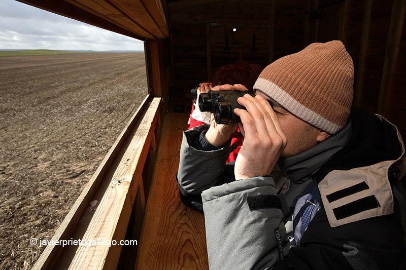 Observatorio ornitológico en la laguna de Boada de Campos. Tierra de Campos. Palencia. Castilla y León. España.