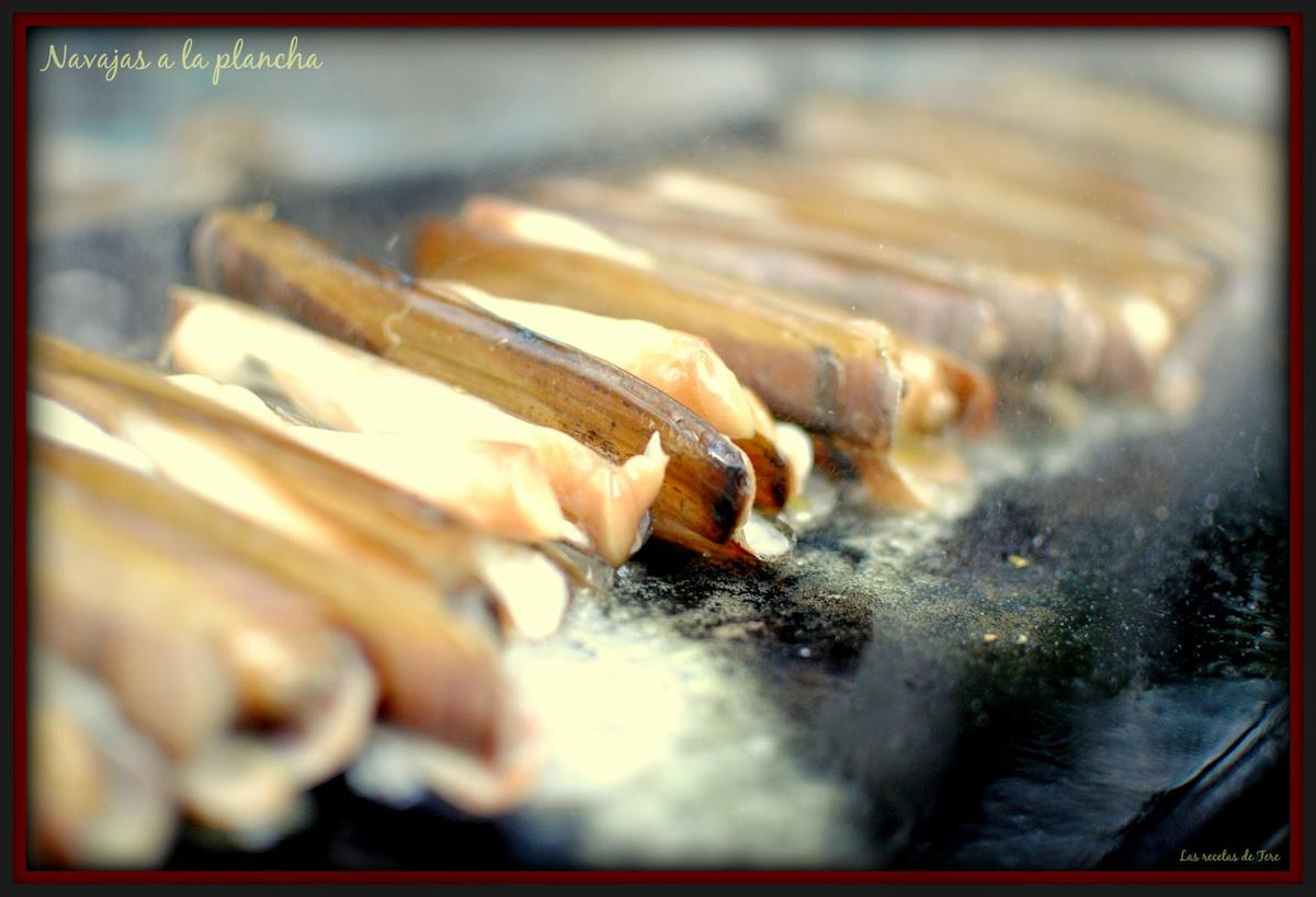 navajas a la plancha 03