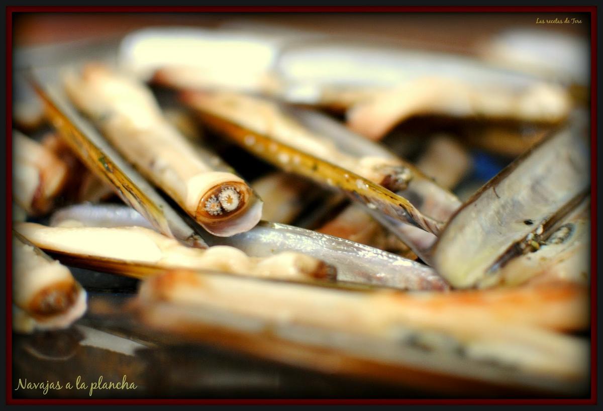 navajas a la plancha 06