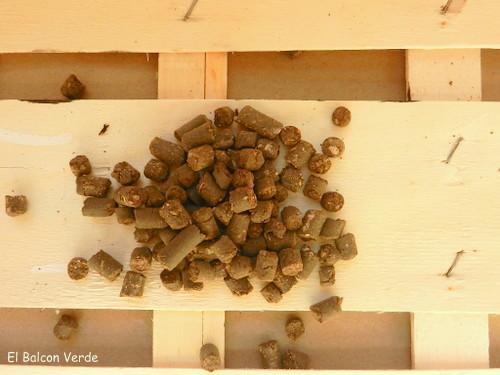 ESTIERCOL DE CABALLO