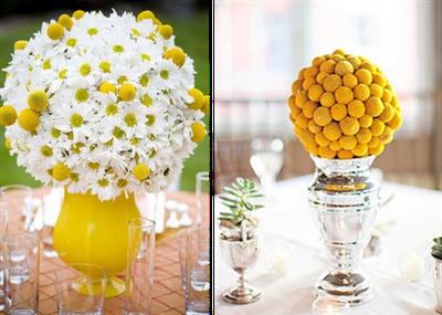 centro_de_mesa_craspedia