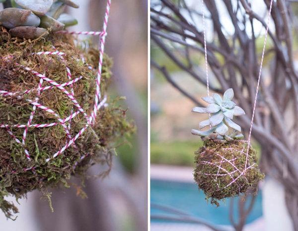 decorar con plantas