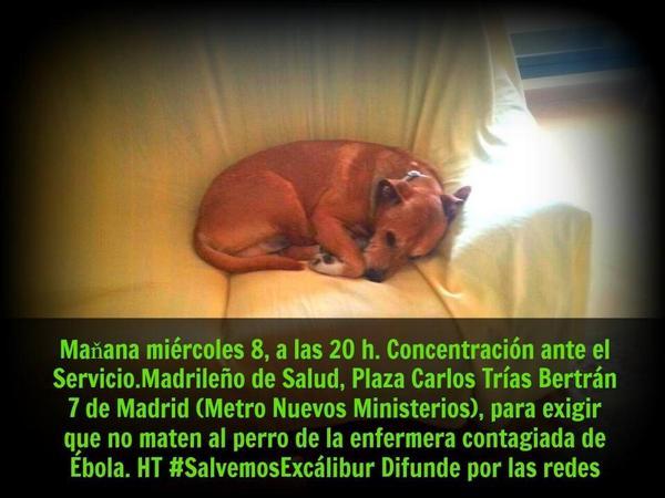 salvemos a excalibur