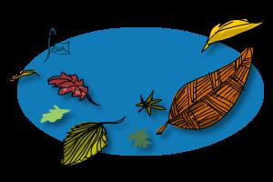 Dar paseos por el campito