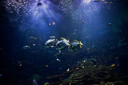 El movimiento Agua en MTC