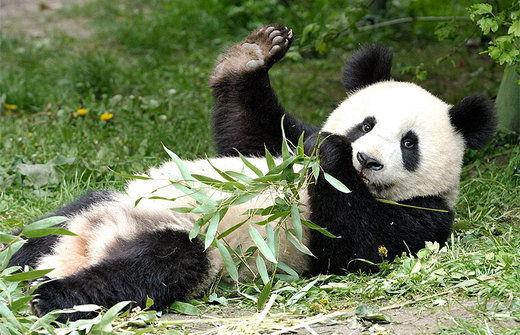 consejos de dietetica china riñón