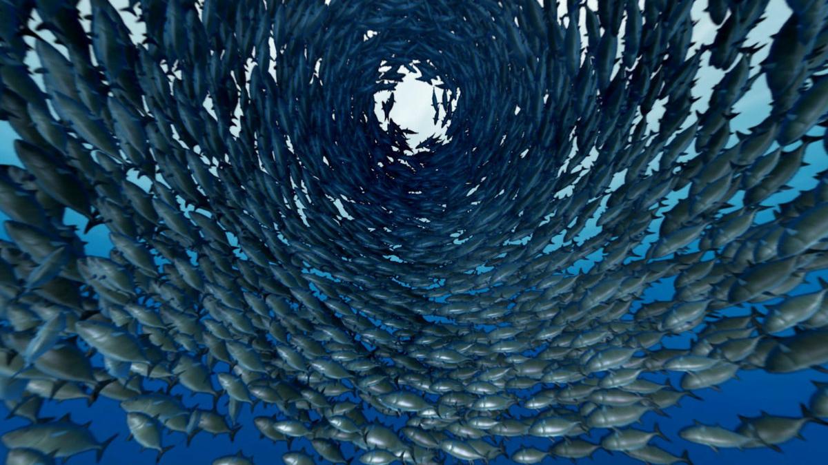  Tonificar Riñón – Consejos de dietética china