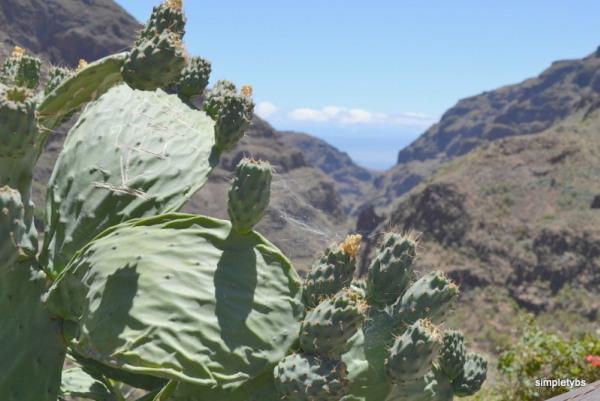 rutas por gran canaria