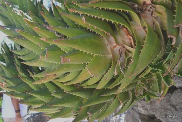 rutas por gran canaria