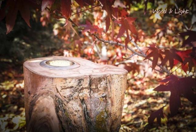 mercado_de_motores_4