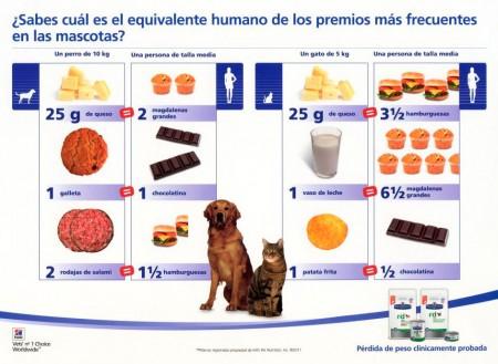 Equivalencia premios comida