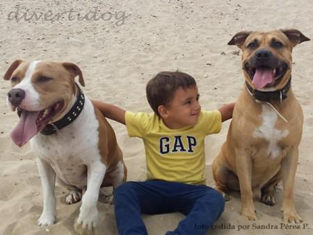 Niño con perros