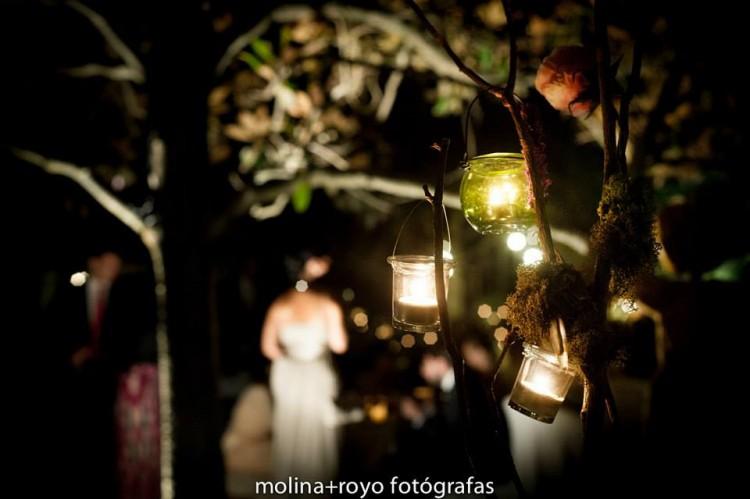 10610761_694110060680085_4204520744896248611_n