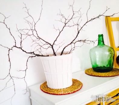 IMG-20140922-WA0013 copia