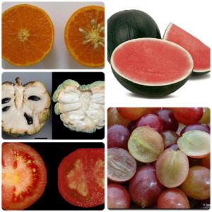 Partenocarpia artificial