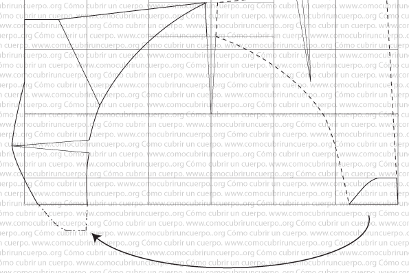 despiece-del-slip-hombre-03