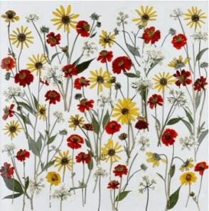 Cómo hacer cuadros con flores secas prensadas por nosotros | Manualidades