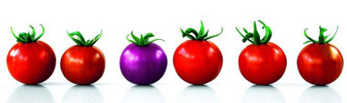 Superalimentos, vida sana, superfood