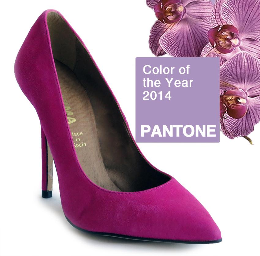 Payma - 41852 - 49,90_