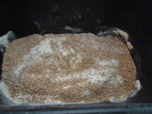 PAN INTEGRAL DE SEMILLAS