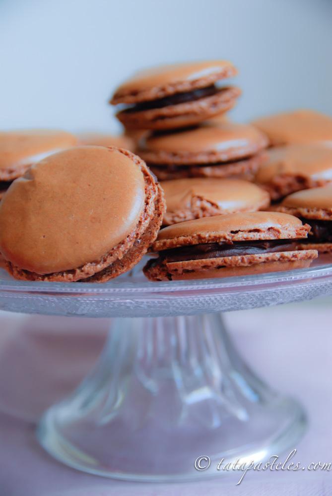 Macarons de chocolate