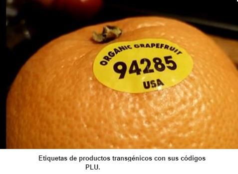 Alimentos organicos Como reconocerlos transgenicos codigo plu frutas alimentos pesticidas 3 Alimentos organicos Como reconocerlos