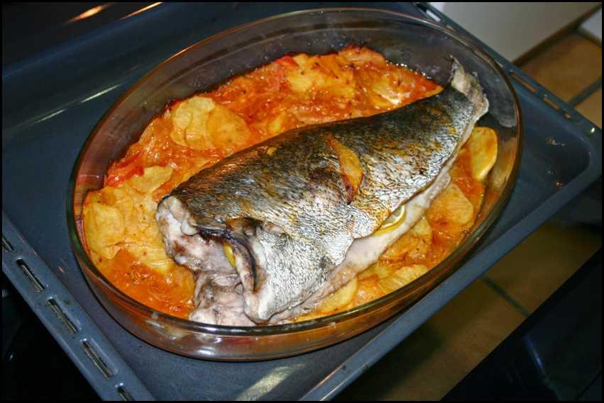 corvina en salsa de tomate 14 Pescado al horno típico de navidad