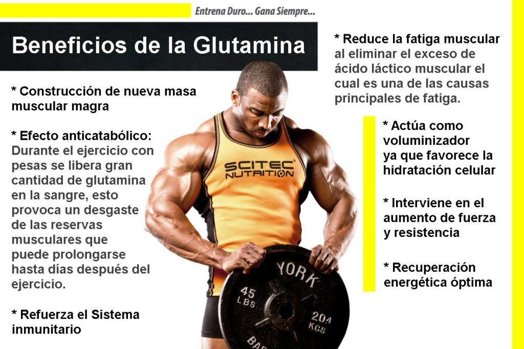 Glutamina - Beneficios