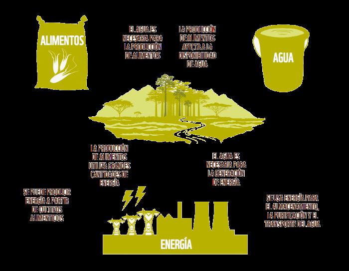 Informe Planeta Vivo. Alimentación WWF