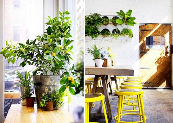 comercios_cafes_zumos_new_york_blog_ana_pla_interiorismo_decoracion_5