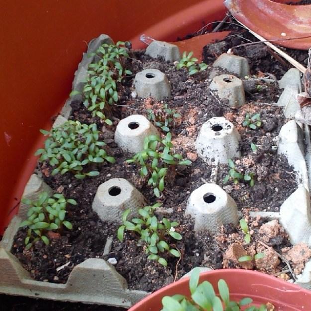 565f49bcbb3a11e397c912431a28be7b_8