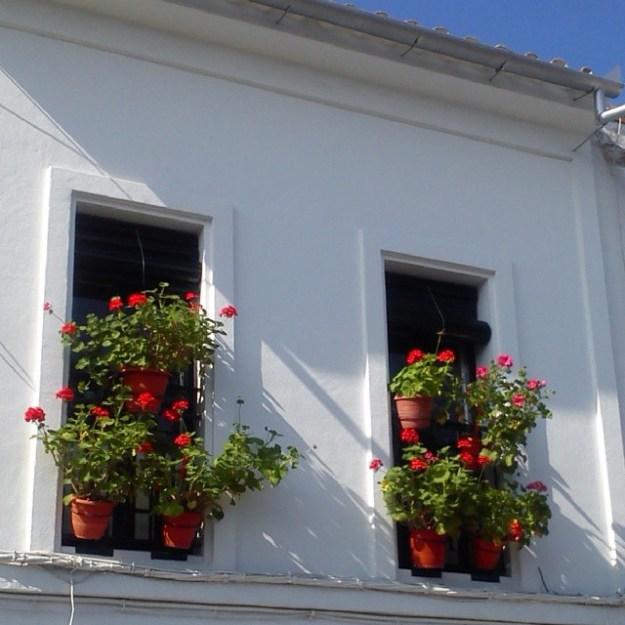 5fce1590c32411e3b7fa24be059cf750_8