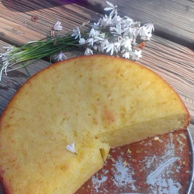 918170_492754960850160_1980190752_n