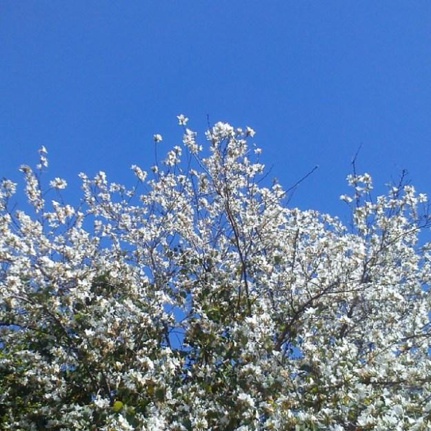 fed7a2bece0f11e393800002c9121700_8