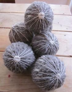 6a00d8341c885553ef015434f1b153970c-800wi