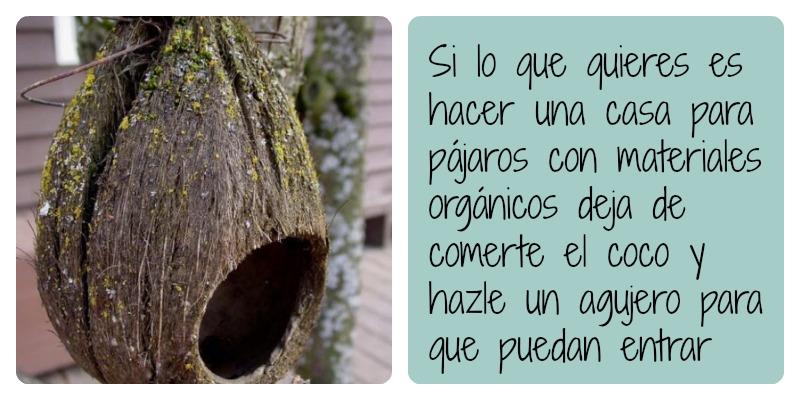 deja de comerte el coco y hazle un agujero