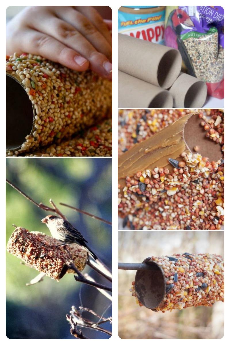 comedero con rollo de papel higiénico