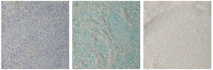 Tonos de los pigmentos Ilusion Touch de la nueva colección de Etnia, Antarctic